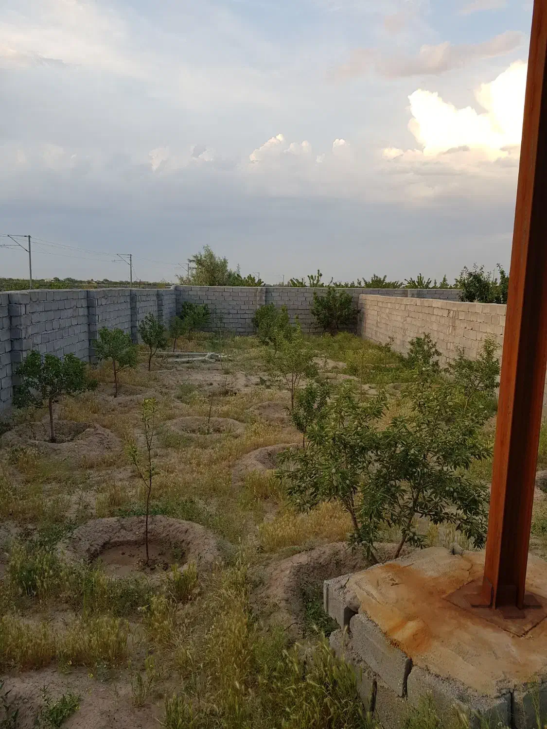 فروش باغ ۵۰۰متری|فروش زمین و ملک کلنگی|ایلخچی, |دیوار