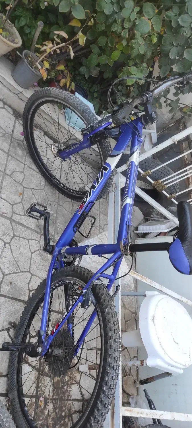 دوچرخه ژیتان،ویوا، اورلودسایز۲۶|دوچرخه، اسکیت، اسکوتر|اردبیل, |دیوار