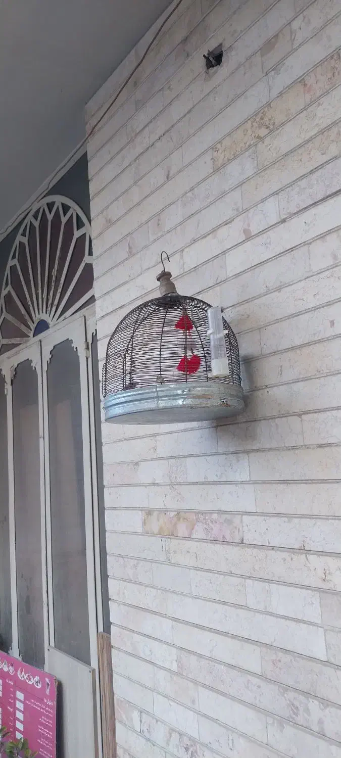 قفس.پرنده|لوازم جانبی حیوانات|شیراز, اصلاح‌نژاد|دیوار