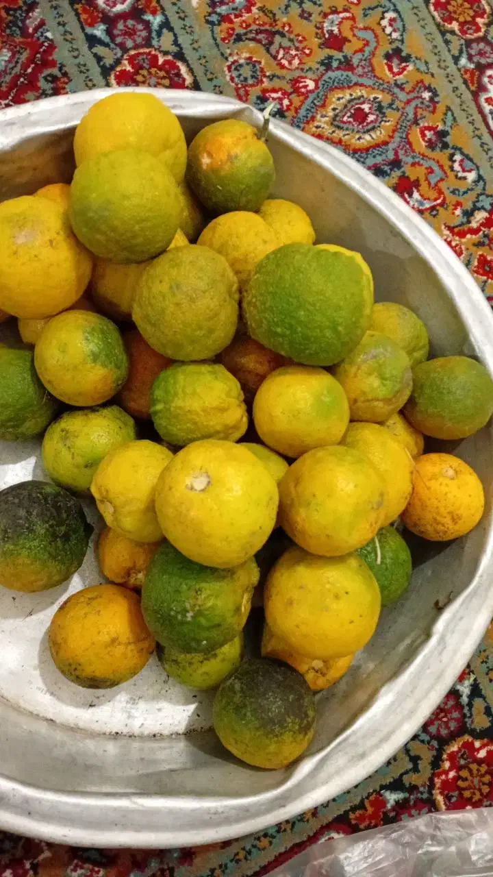 نارنج درشت و آبدار|خوردنی و آشامیدنی|کیاشهر, |دیوار