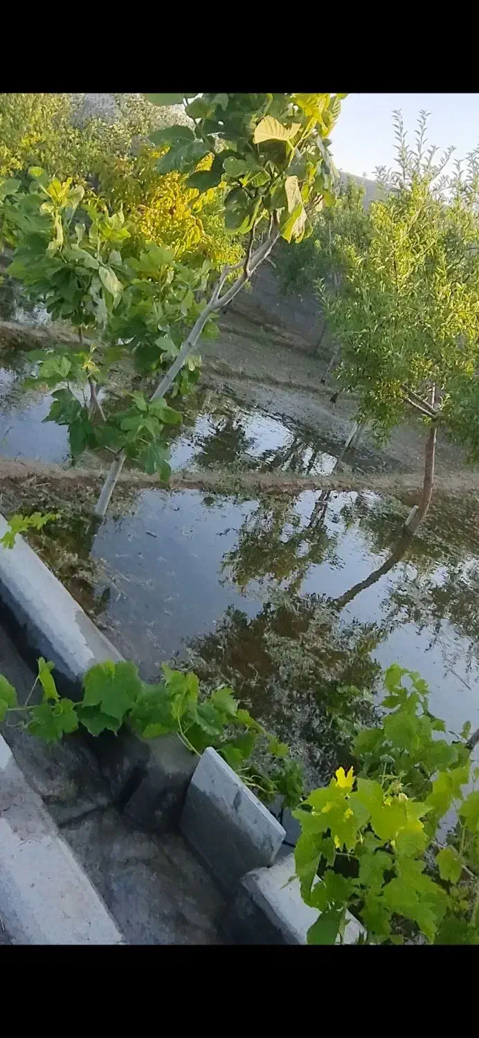 باغ بهشت تبریز سهند اسکو|فروش خانه و ویلا|اسکو, |دیوار