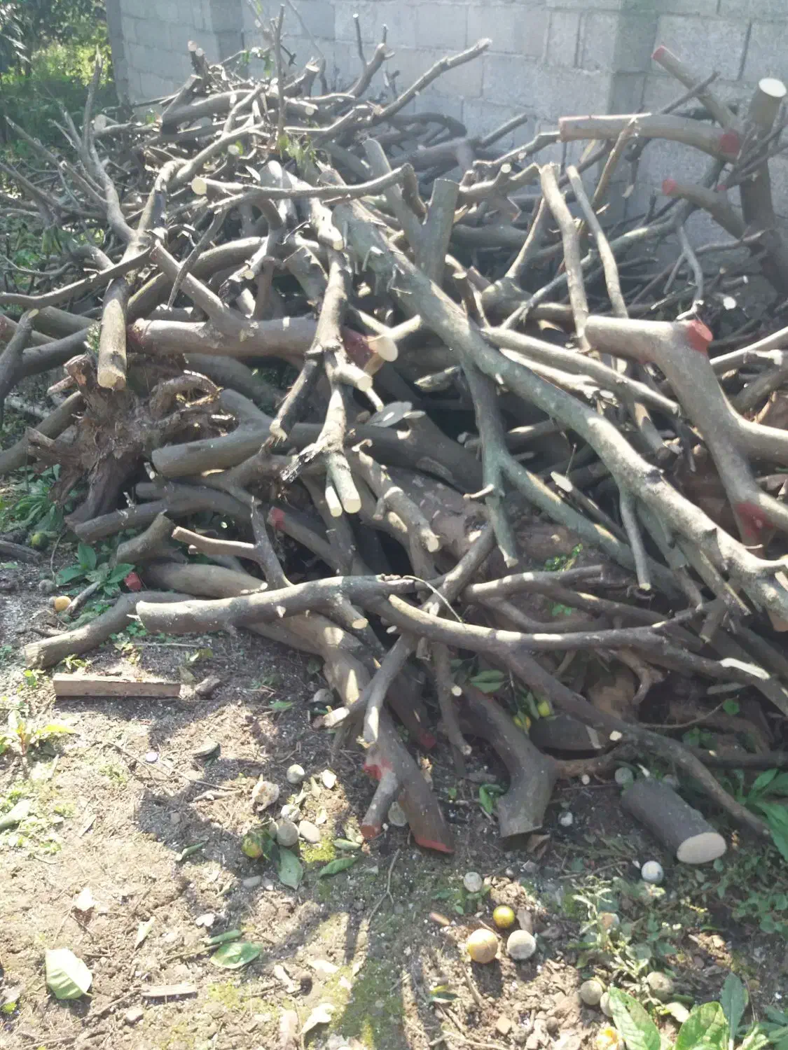 یک کامیون پر|خودرو سنگین|چابکسر, |دیوار