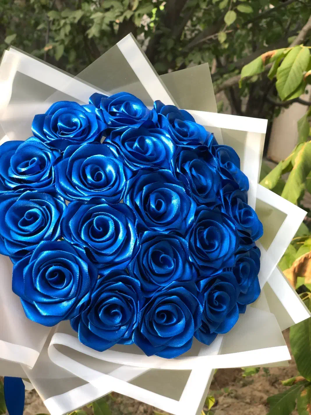 رز روبانی|گل و گیاه طبیعی|چناران, |دیوار