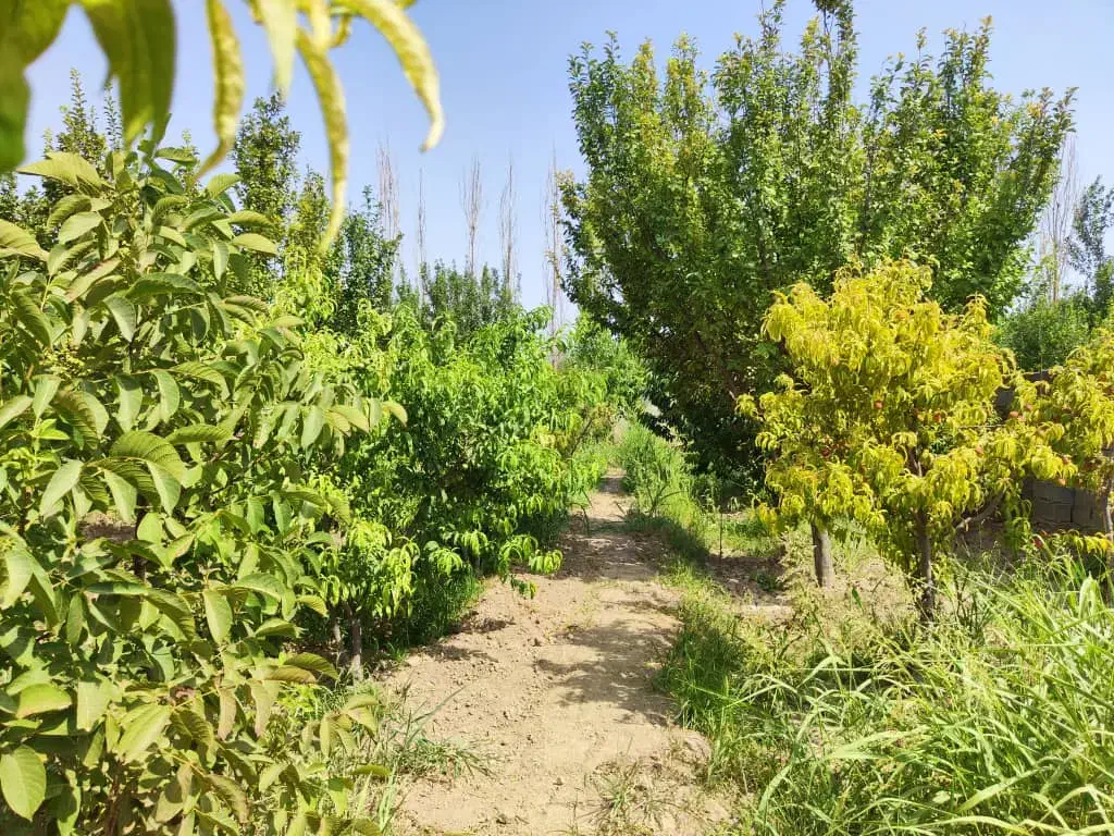 باغچه ۳۳۰ متری/ مدارک تکمیل/سهمیه آب با سند|فروش زمین و ملک کلنگی|رباط‌کریم, رباط‌کریم|دیوار