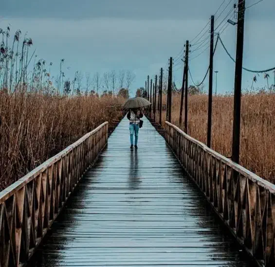 آموزش زبان انگلیسی|خدمات آموزشی|کیاشهر, |دیوار