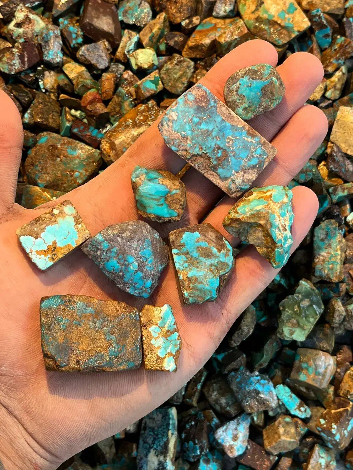 تیزبوری فیروزه|جواهرات|نیشابور, میدان حافظ|دیوار