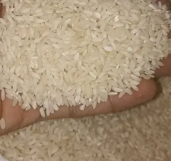 یک کیسه دانه کامل عنبربو تولید کشاورز|خوردنی و آشامیدنی|شوشتر, |دیوار