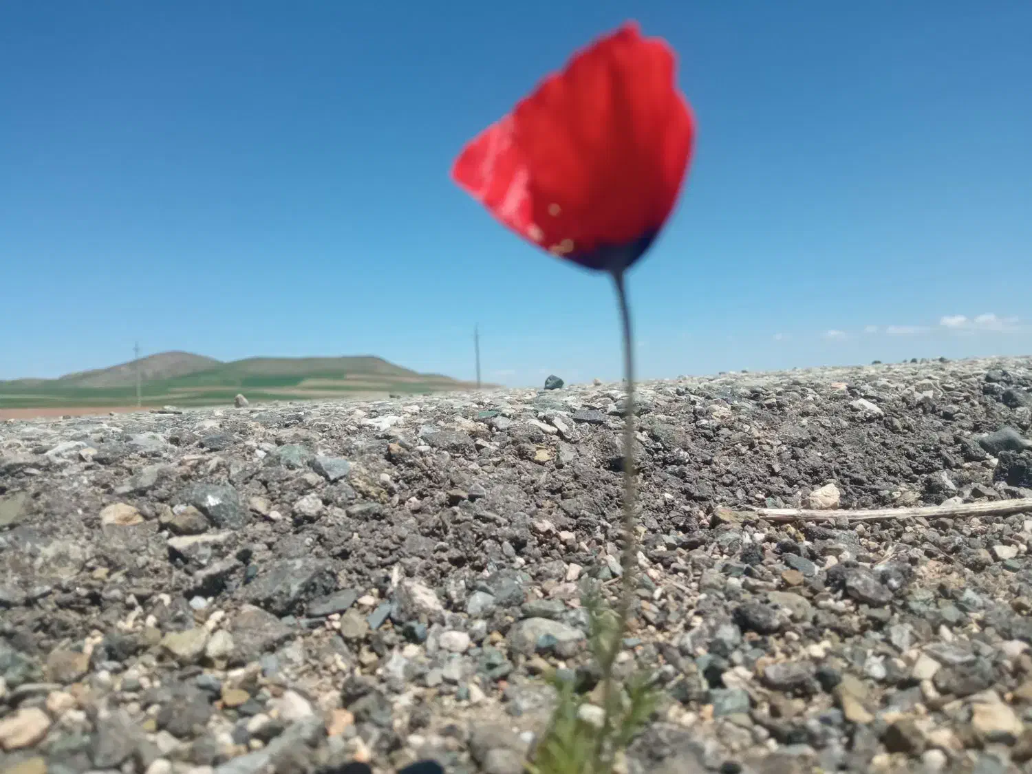 خط دهگلان سنندج|خودرو سواری و وانت|دهگلان, |دیوار