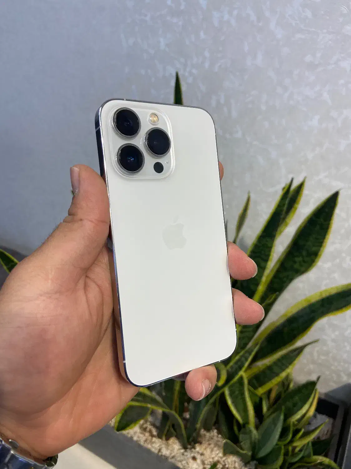 اپل iPhone ۱۳پرو رنگ زیبای سیلور طرح تعویض و اقساط|موبایل|اصفهان, احمدآباد|دیوار