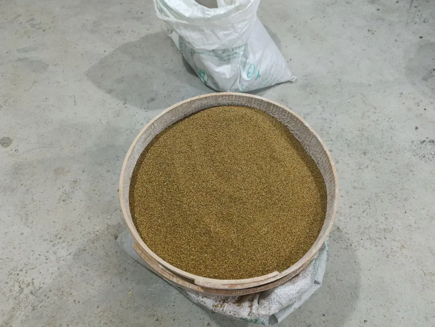 فروش بذر یونجه|عمده‌فروشی|چرام, |دیوار