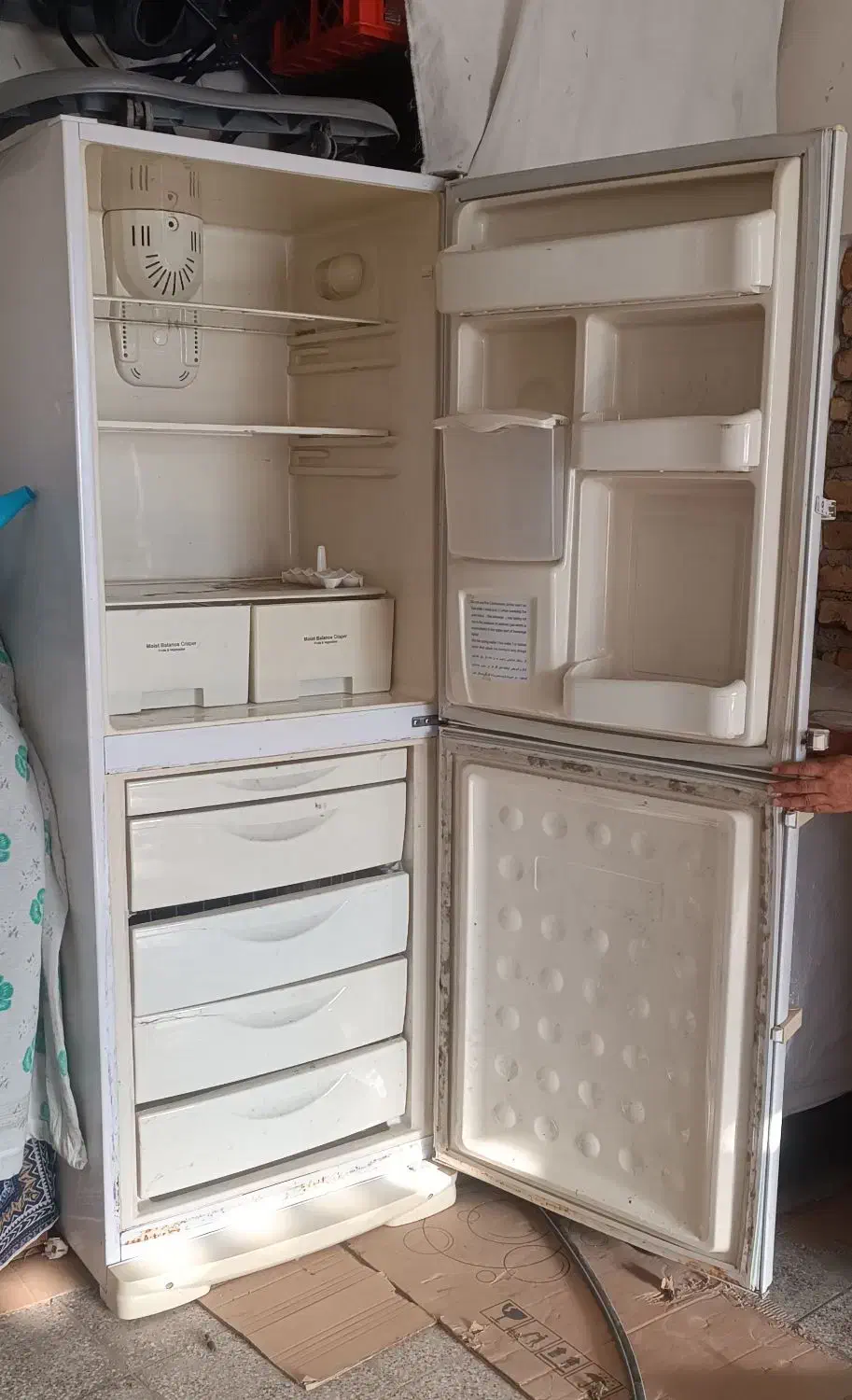 یخچال فریزر سونیا|یخچال و فریزر|گنبد کاووس, |دیوار