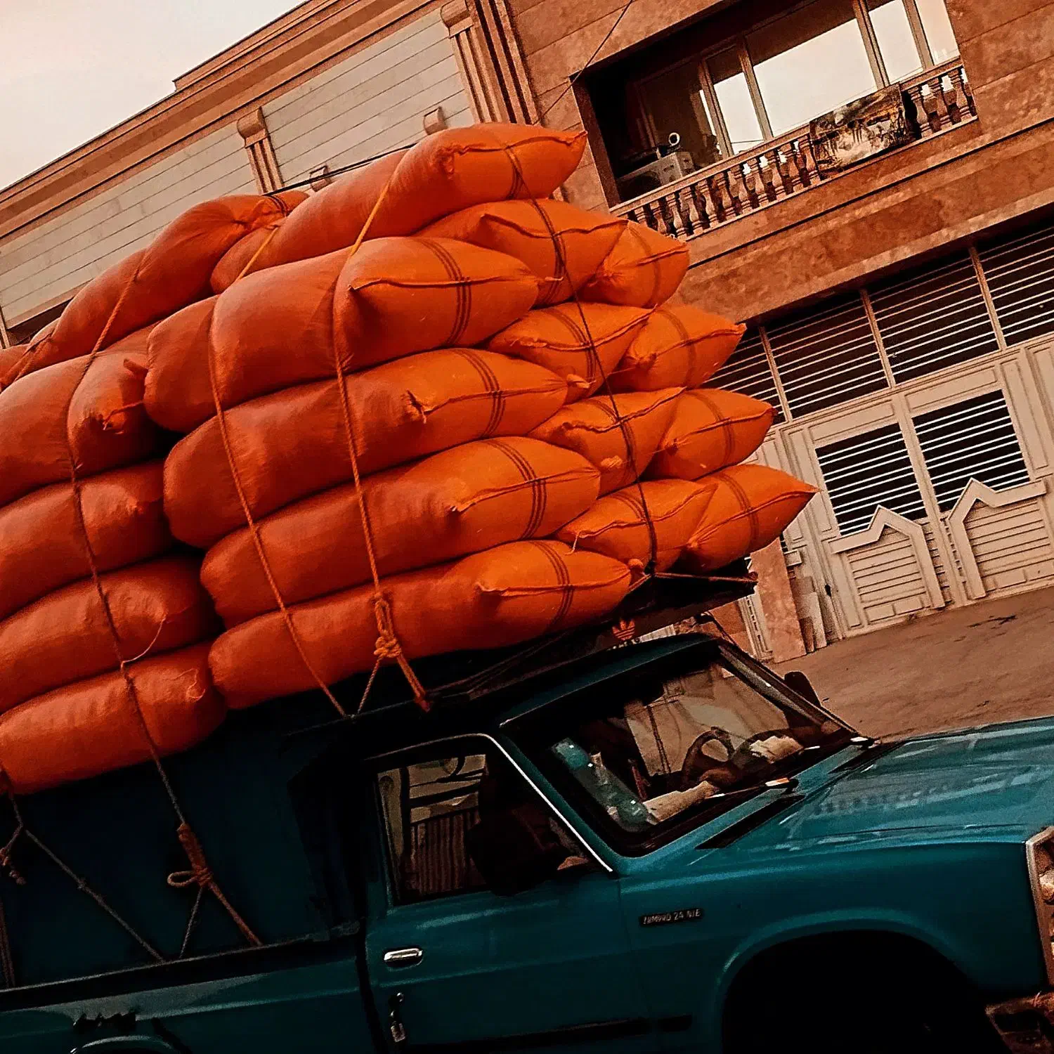 یونجه پربرگ|حیوانات مزرعه|سنقر, |دیوار