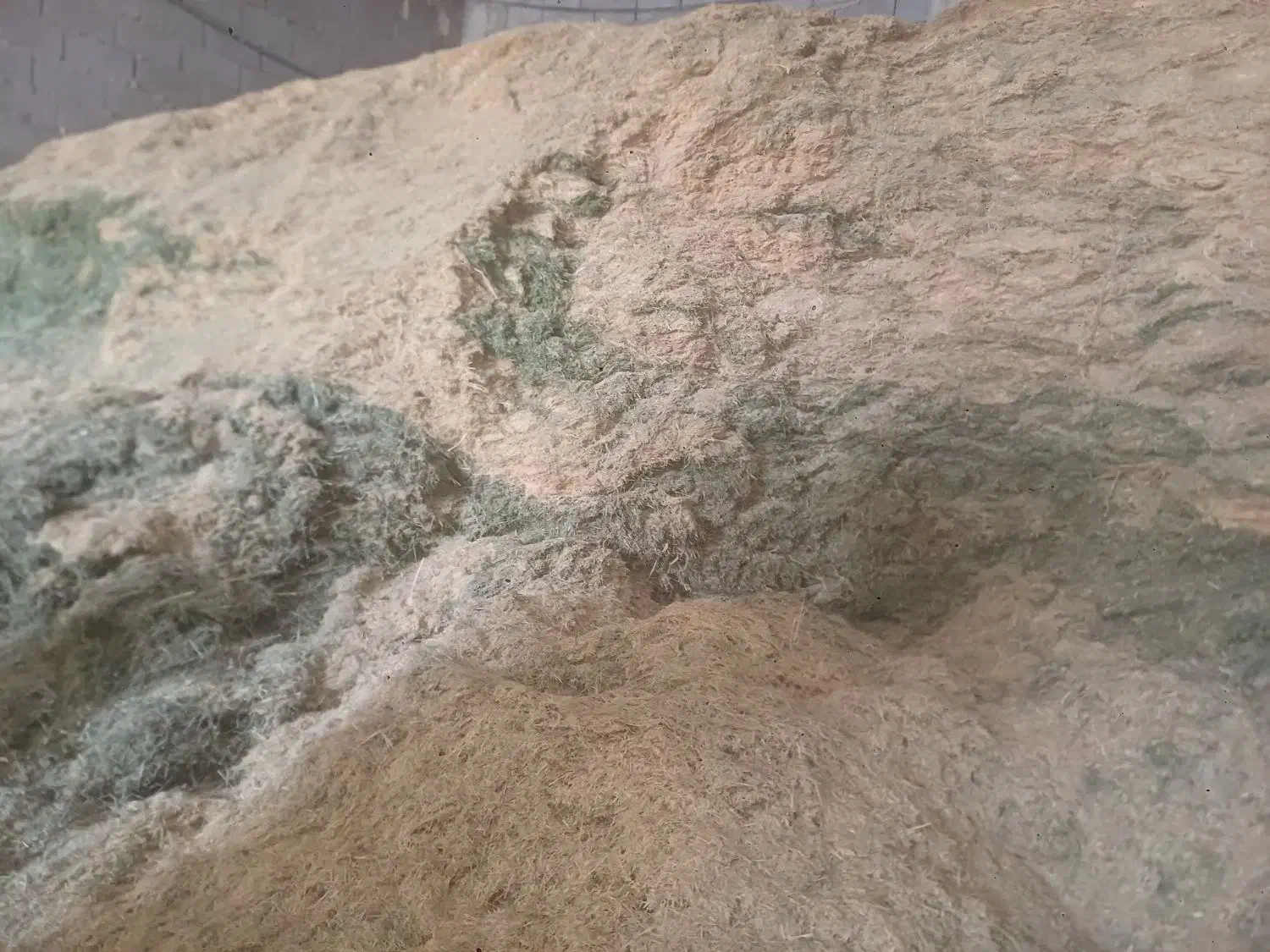 حدود هزار من کاه ینجه و کاه سفید درجه یک|لوازم جانبی حیوانات|جونقان, |دیوار