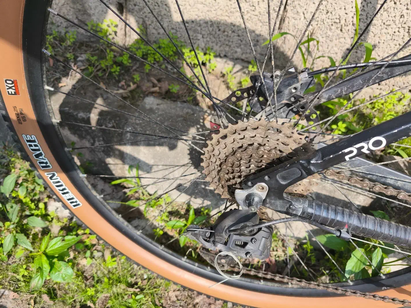 فروش دوچرخه|دوچرخه، اسکیت، اسکوتر|تنکابن, |دیوار