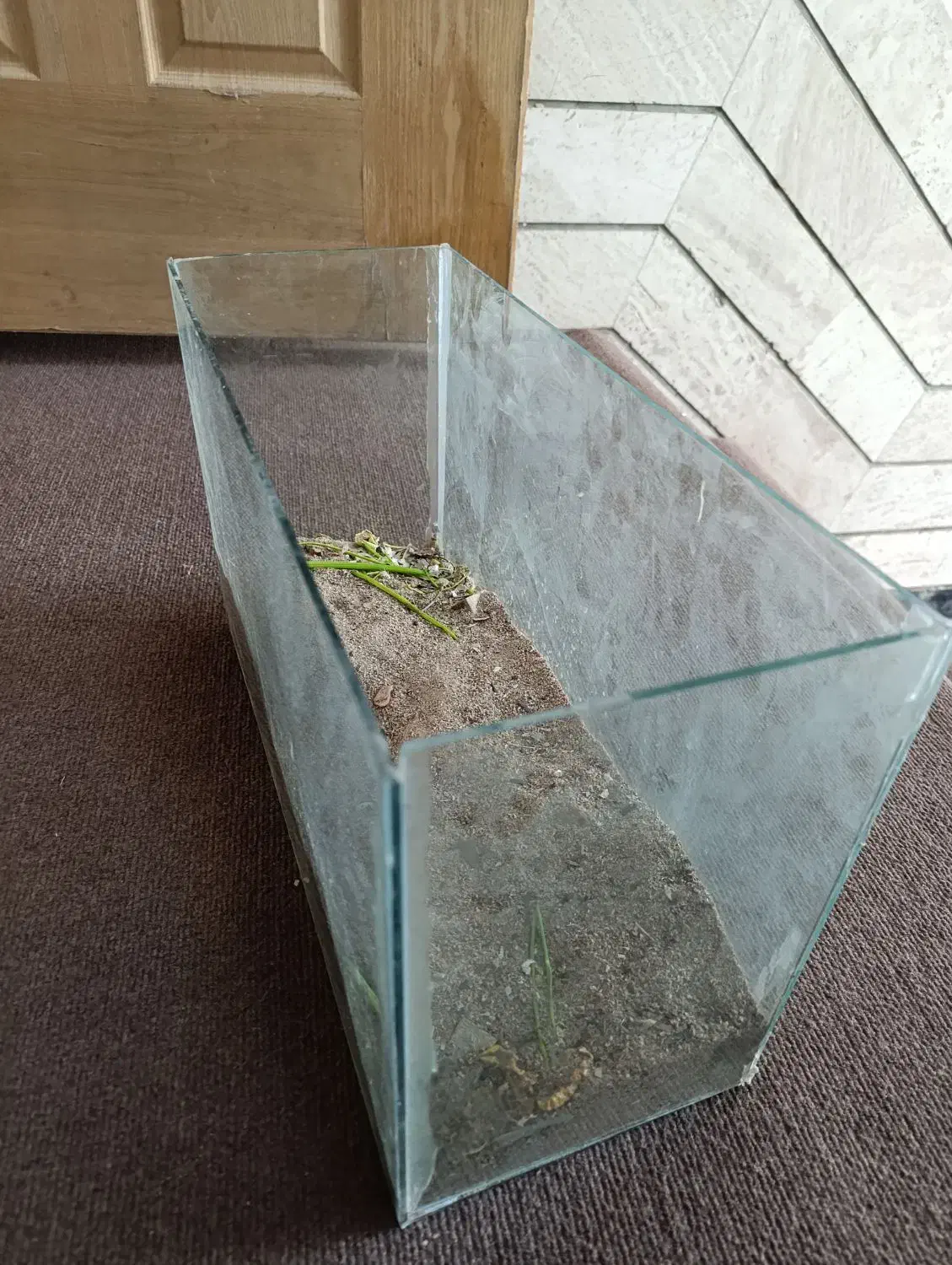 آکواریوم|لوازم جانبی حیوانات|سبزوار, امیر کبیر|دیوار