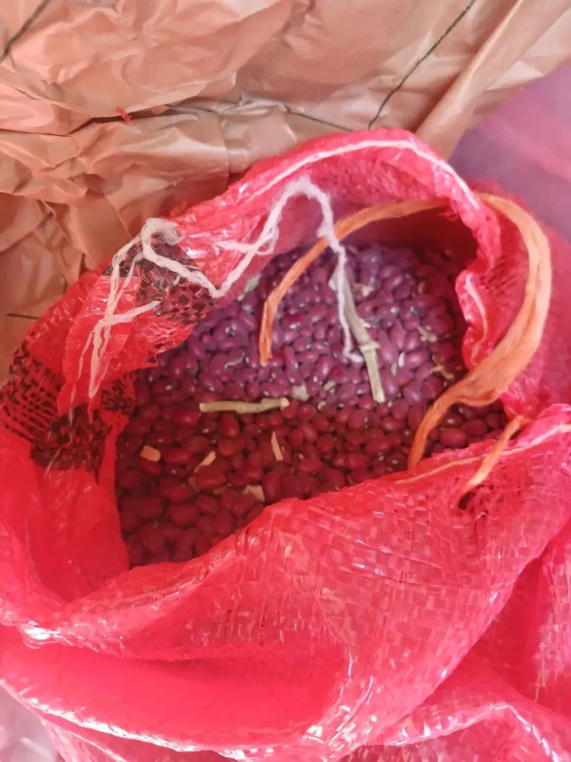 لوبیا قرمز|عمده‌فروشی|دهگلان, |دیوار