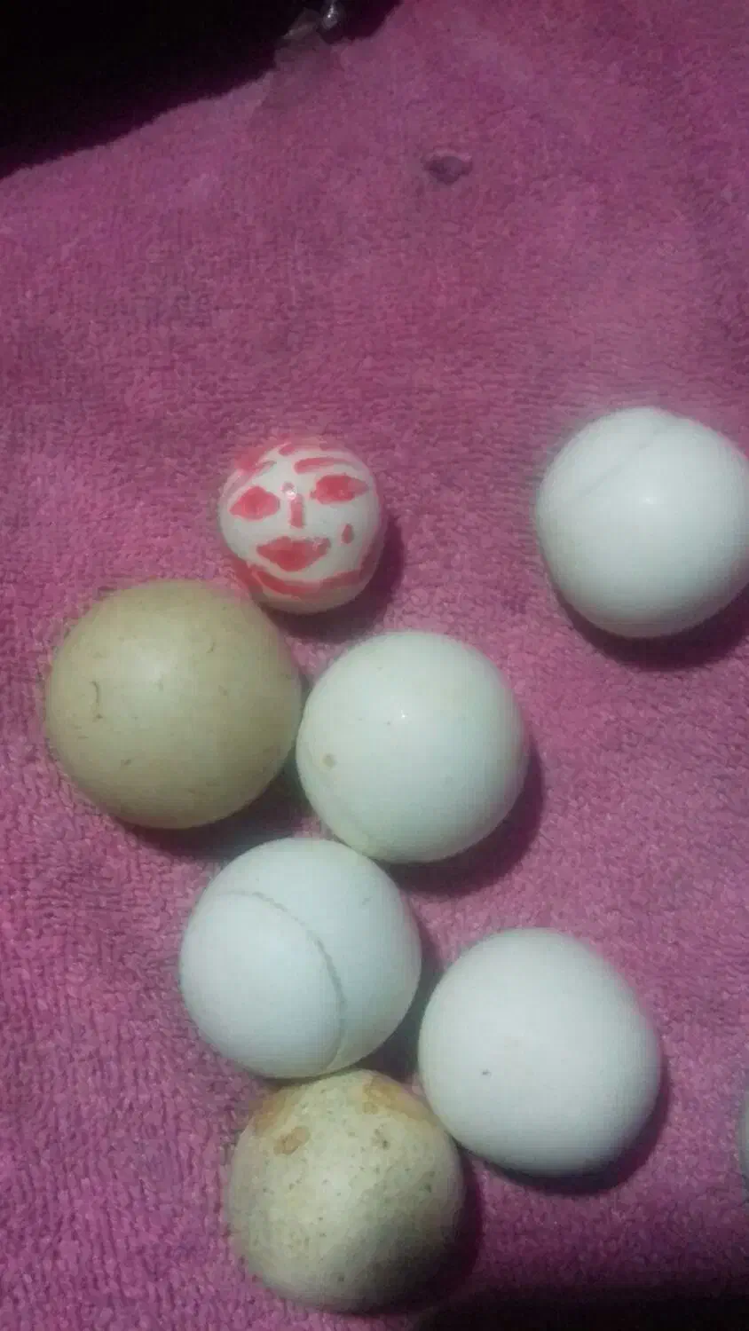 سنگ طبیعی اما نایاب سختترین سنگ دنیا|بدلیجات|اشترینان, |دیوار