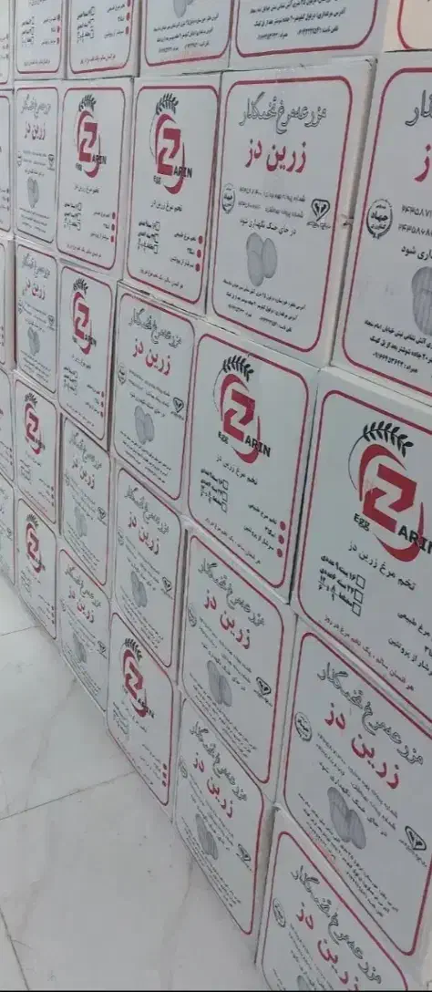 راهنمایی برای کار|فعالیت داوطلبانه تحقیقاتی|اهواز, زردشت|دیوار