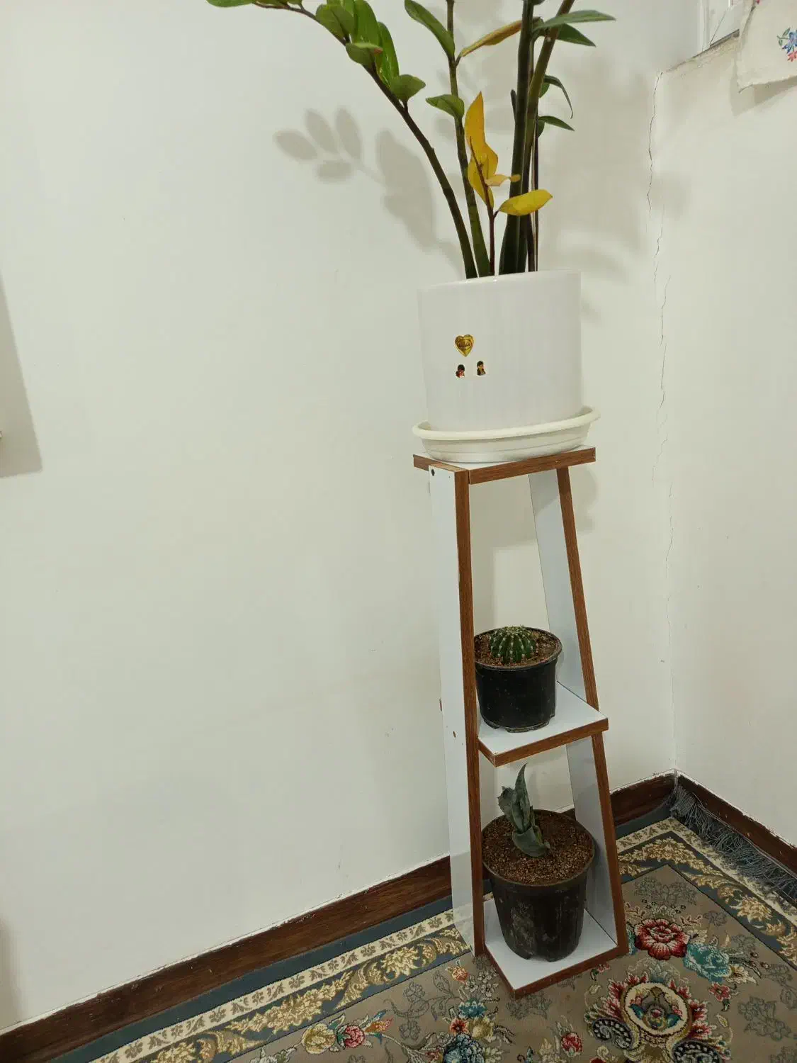 استند گل|گل و گیاه طبیعی|بیرجند, |دیوار