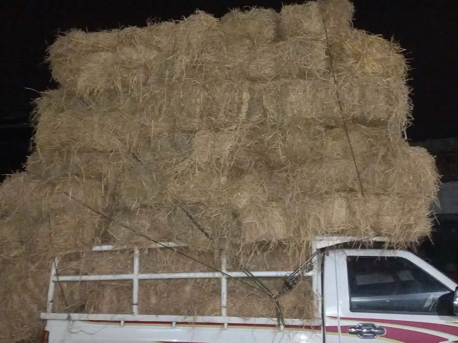 کمل ،کاه شالی|لوازم جانبی حیوانات|دابودشت, |دیوار