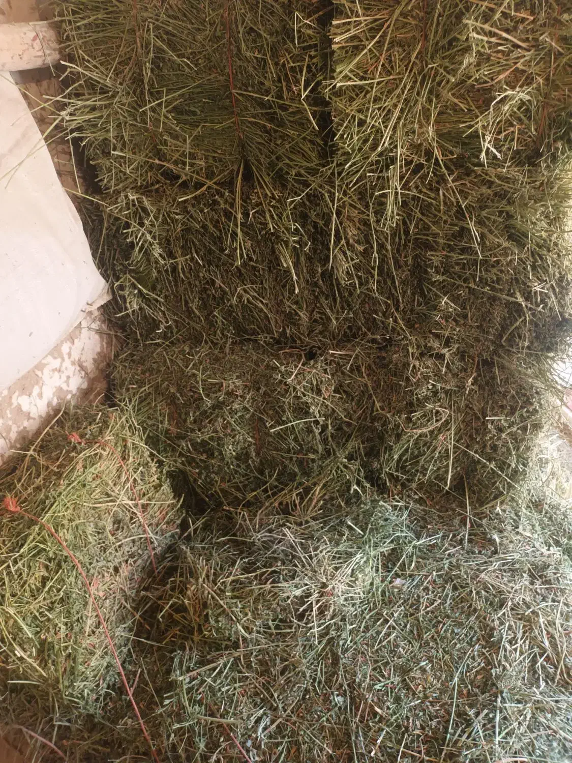 با سلام فروش یونجه چین سوم|لوازم جانبی حیوانات|رزن, |دیوار