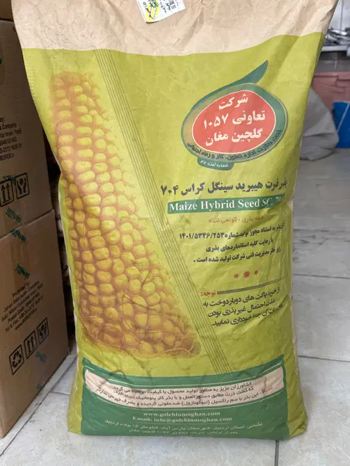 بذر ذرت 704 دشت مغان|گل و گیاه طبیعی|اصفهان, خاتون‌آباد|دیوار
