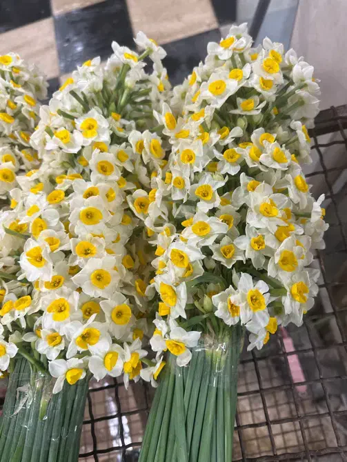 درخواست حسابدار ( منشی )|استخدام مالی، حسابداری، حقوقی|تهران, مشیریه|دیوار