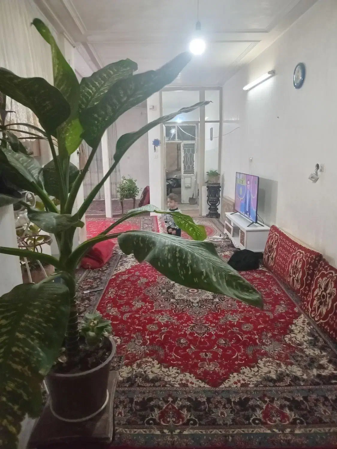 خانه ویلایی  اجاره|اجارهٔ خانه و ویلا|ملایر, |دیوار