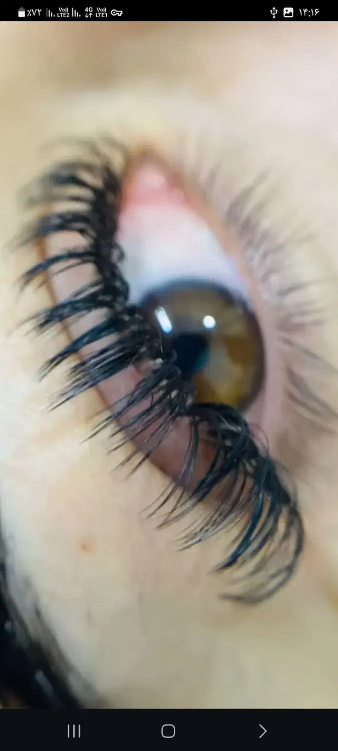 اکستنشن مژه|خدمات آرایشگری و زیبایی|تربت جام, فاز ۳ فرهنگیان|دیوار