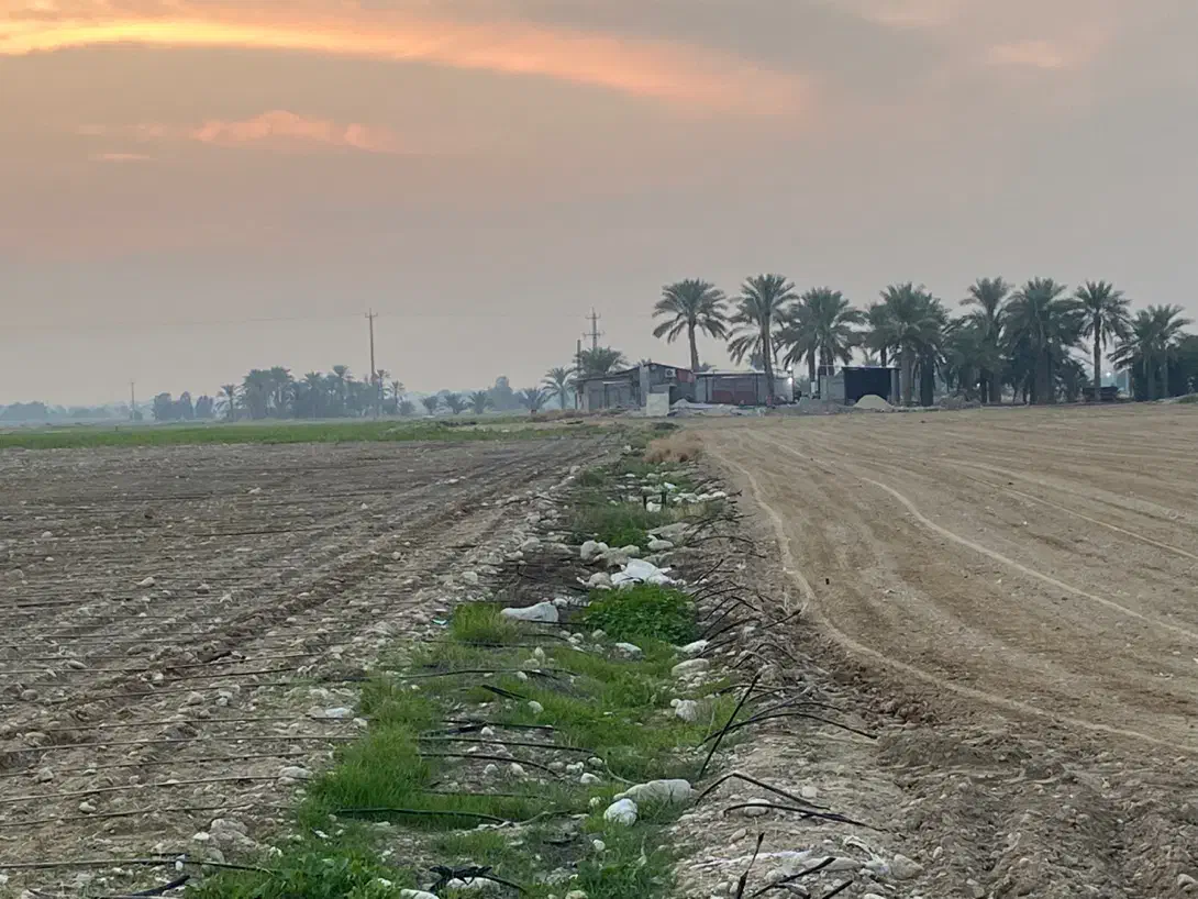 پاکسازی زمین کشاورزی از سنگ با سنگ جمع کن ترکیه ای|خدمات باغبانی و درختکاری|برازجان, |دیوار