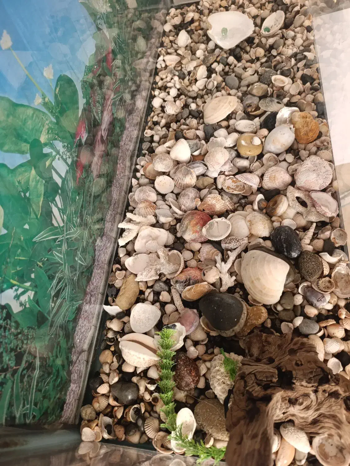 آکواریوم ساده و شرکتی ماهیران بسیار تمیز|ماهی|اصفهان, آهنگران|دیوار