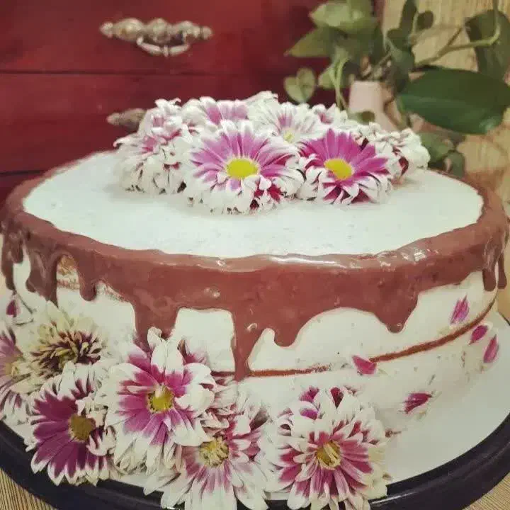 کیک|خوردنی و آشامیدنی|قم, باجک دو|دیوار