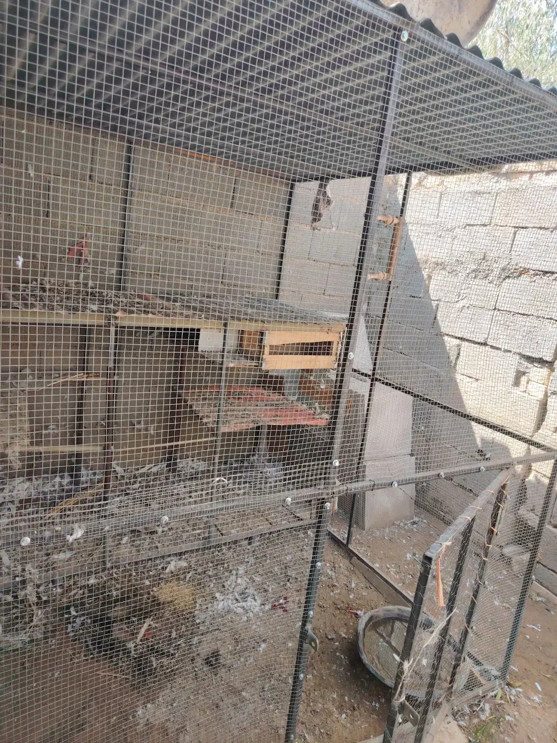 قفس آهنی|لوازم جانبی حیوانات|دهاقان, |دیوار