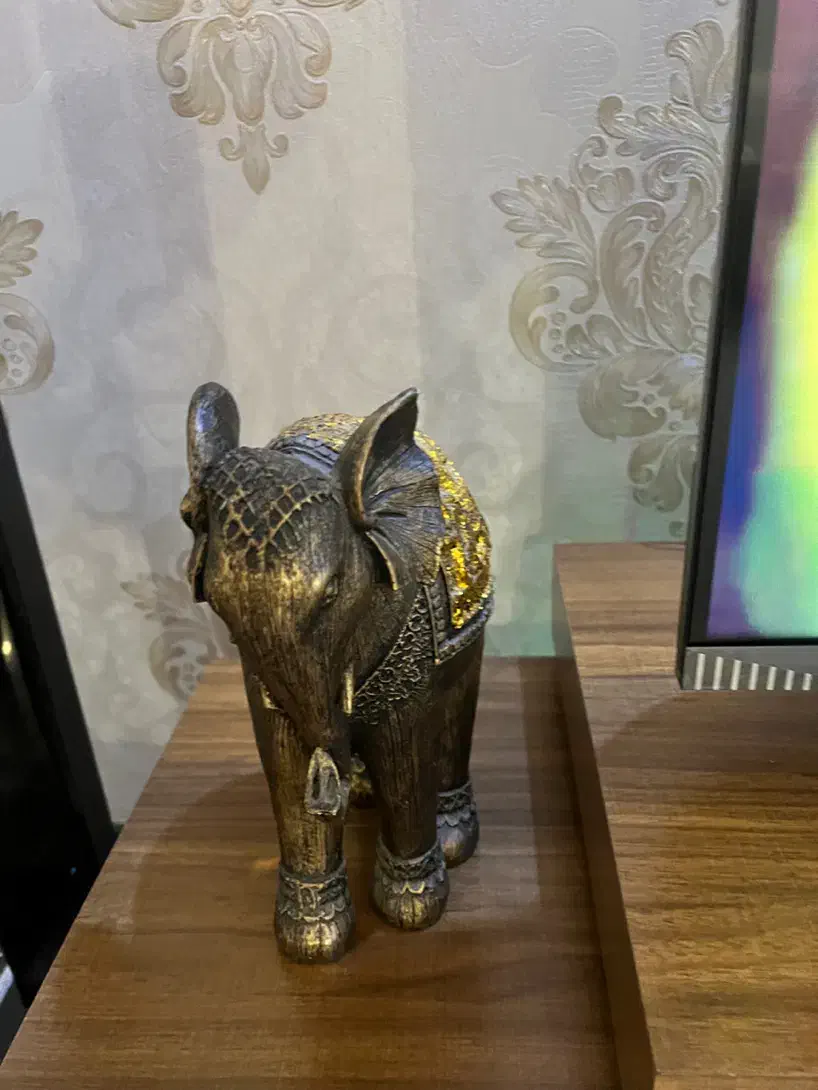 مجسمه فیل|مجسمه، تندیس، ماکت|تهران, دبستان|دیوار