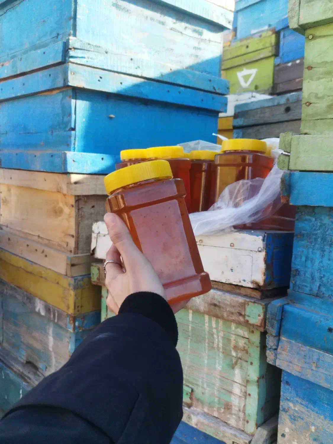 عسل طبیعی|خوردنی و آشامیدنی|الوند, |دیوار