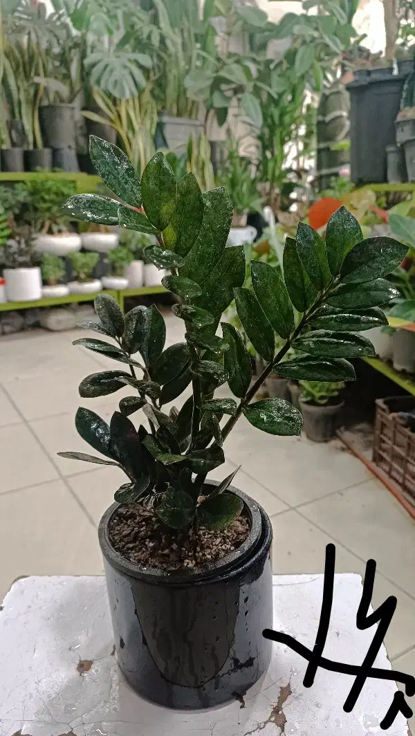 آنلاین|کنسول، بازی ویدئویی و آنلاین|مشهد, حیدرآباد|دیوار