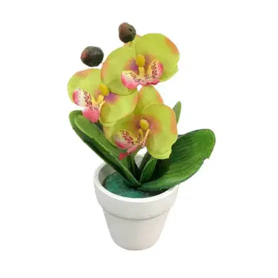 گل پاپوش وگل هردو ۲۰۰|گل مصنوعی|قم, شهر قائم|دیوار