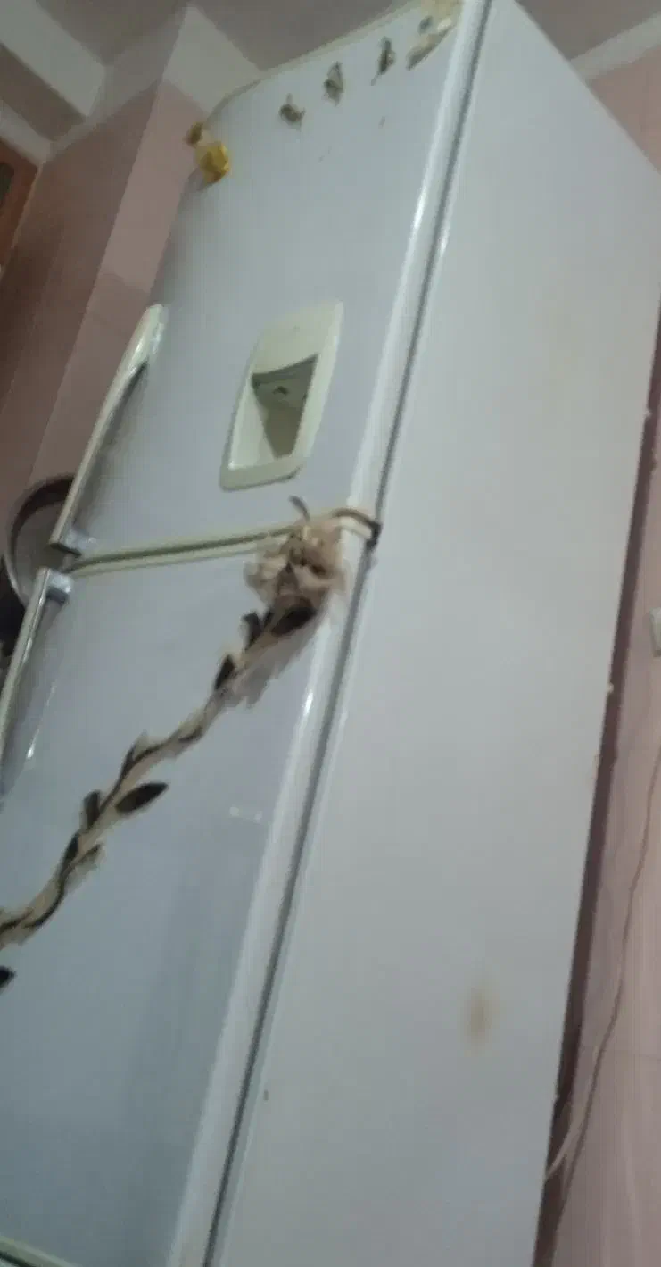 یخچال فریزر وتلوزیون|یخچال و فریزر|خسروشاه, |دیوار