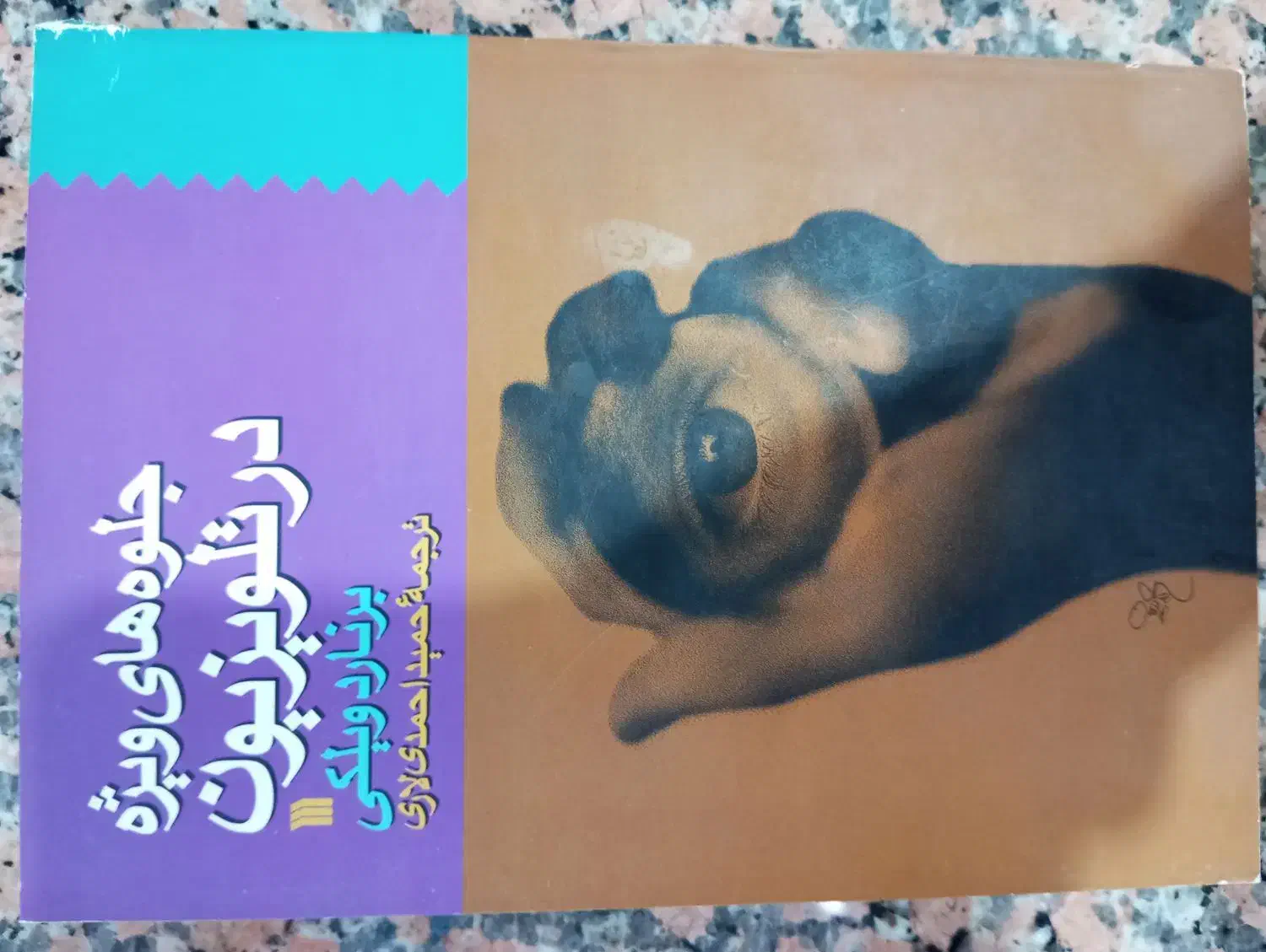 کتاب صافیها،جلوه های ویژه ،فن برنامه سازی|کتاب و مجله آموزشی|مشهد, کوشش|دیوار