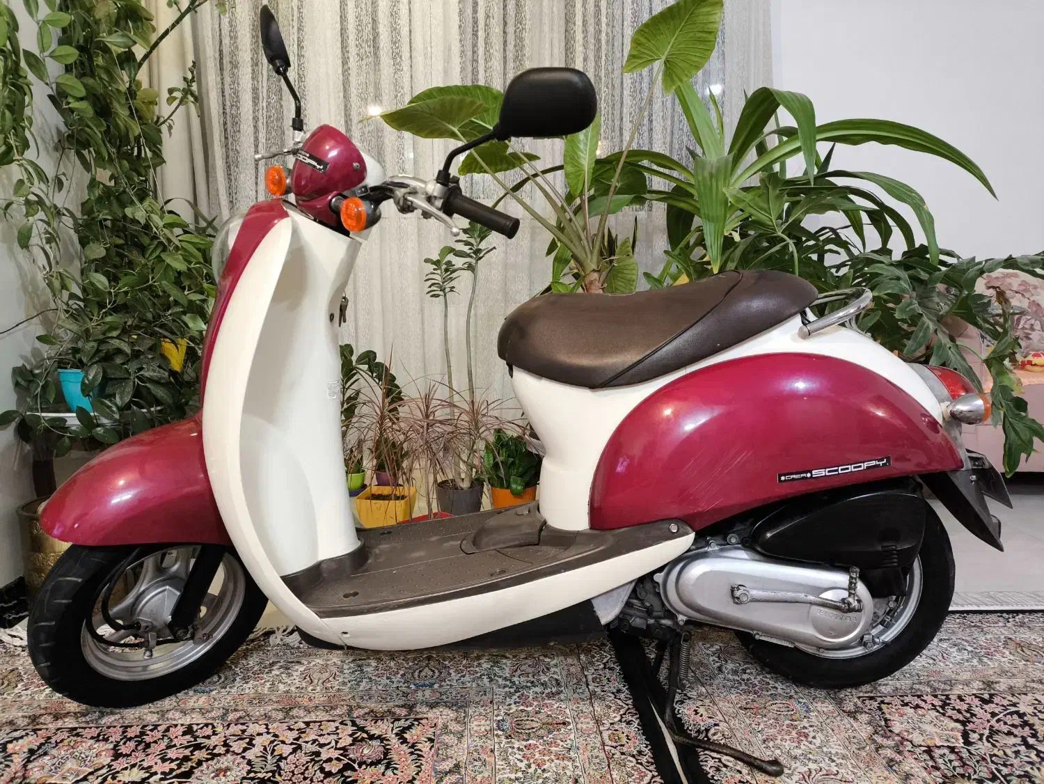 پاکشتی هندا اسکوپی|موتورسیکلت|شیراز, صدا و سیما|دیوار