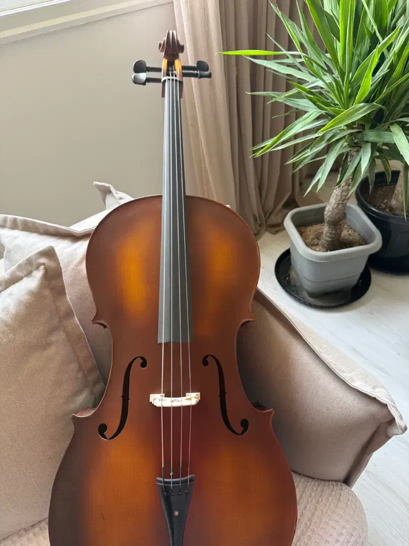 ویولنسل AMATI 1500|ویولن|اصفهان, درب کوشک|دیوار