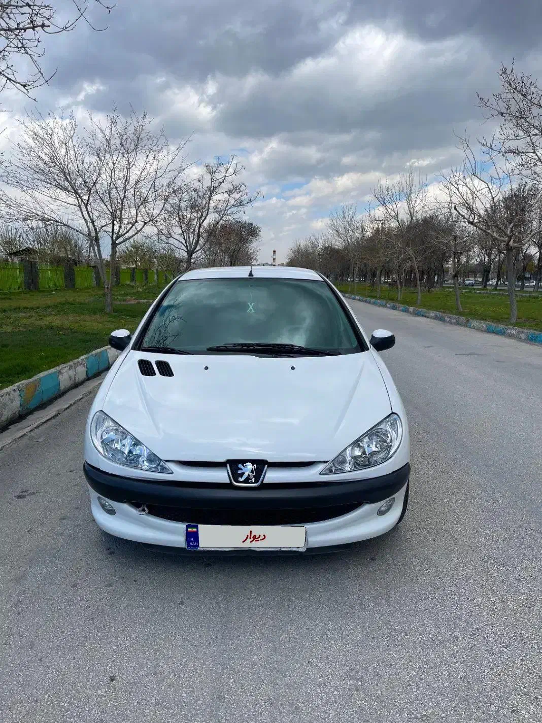 206SD v8|خودرو سواری و وانت|همدان, |دیوار