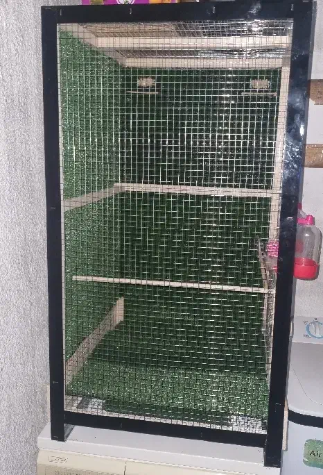 قفس|لوازم جانبی حیوانات|تهران, گرگان|دیوار