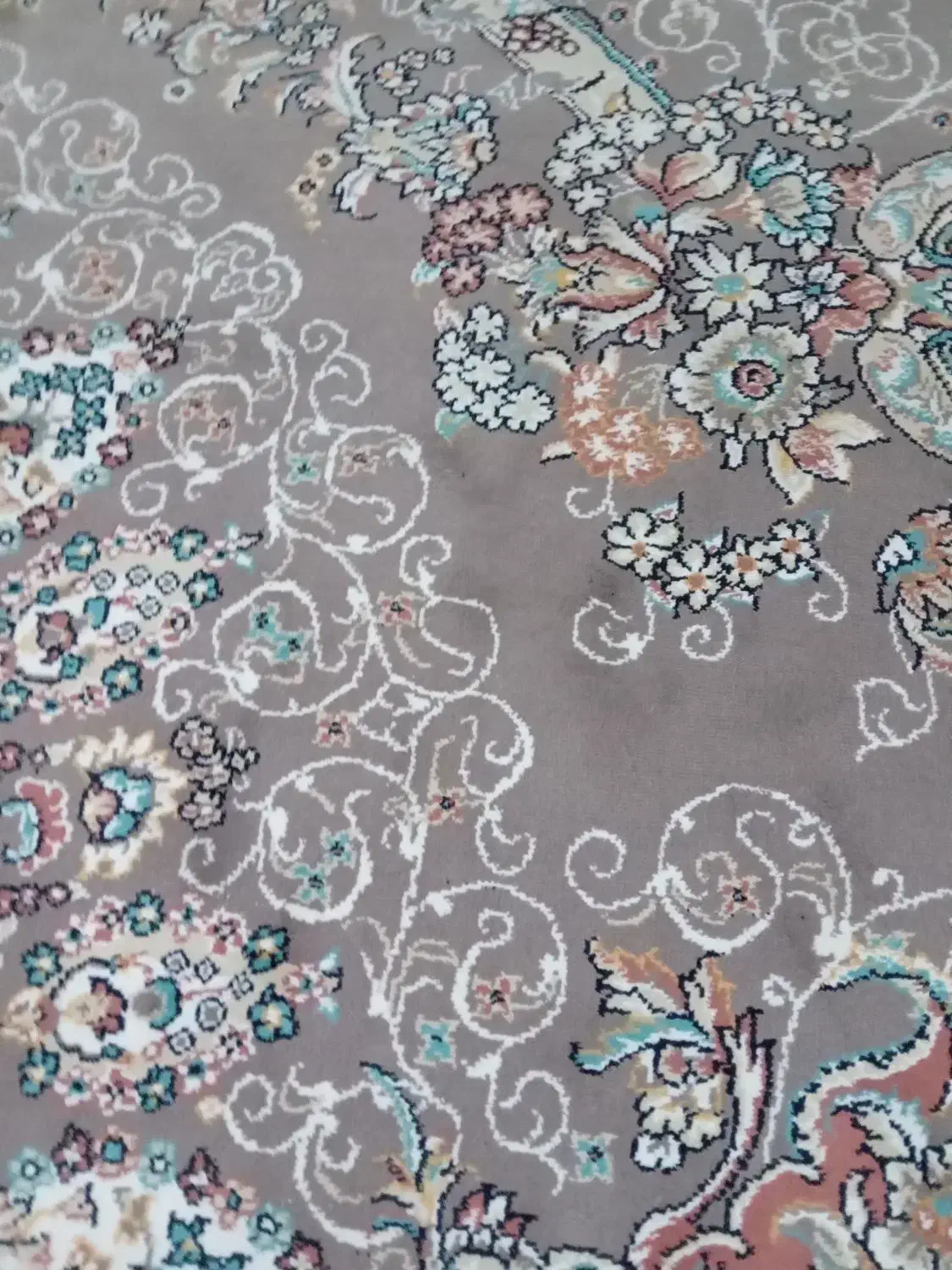 خانه اجاره ای|اجارهٔ خانه و ویلا|حسن آباد, |دیوار