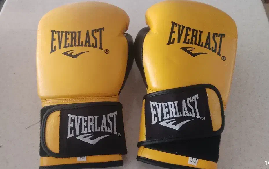 دستکش بوکس|تجهیزات ورزشی|زاهدان, |دیوار