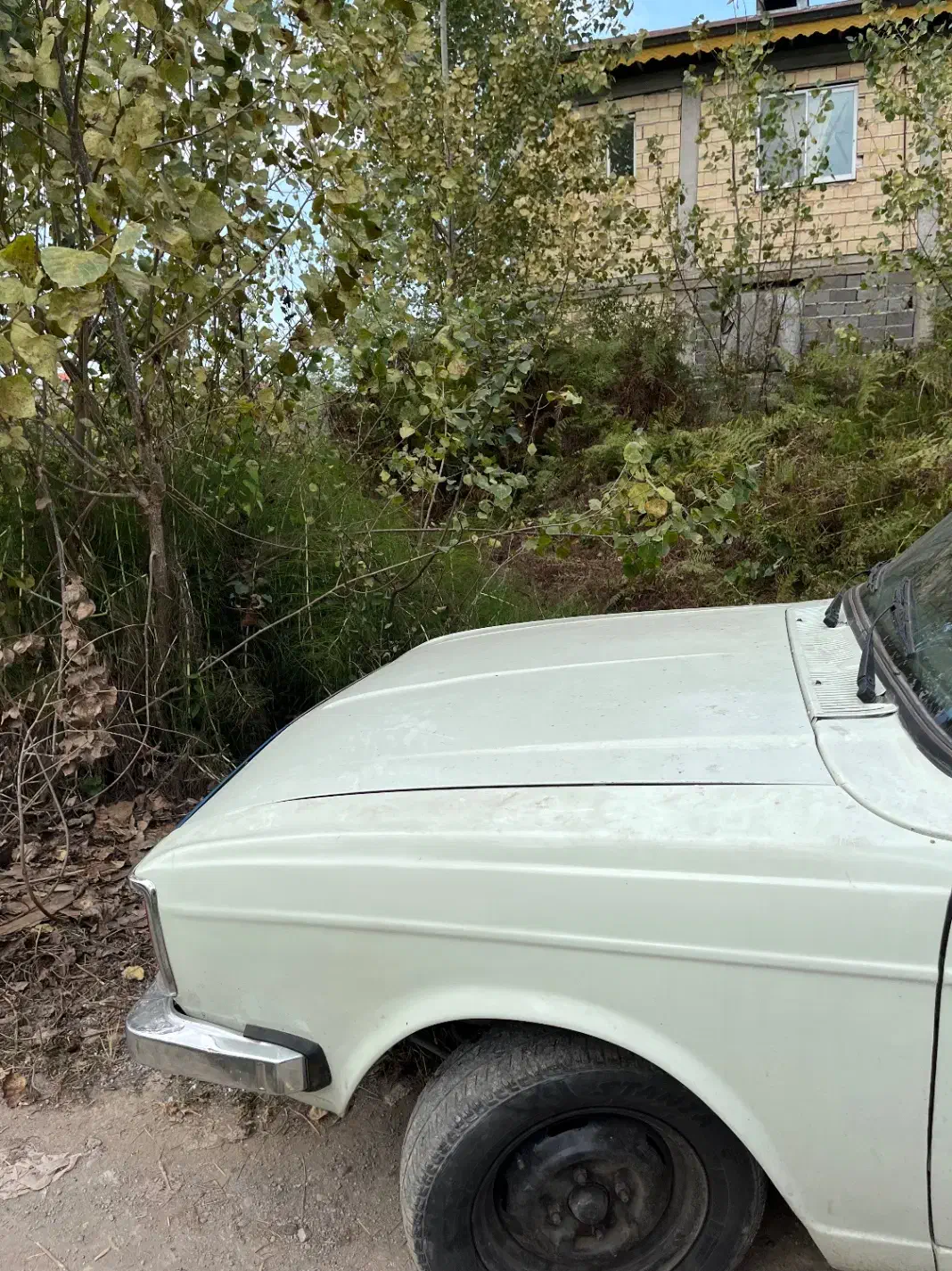 پیکان وانت مدل 82|خودرو سواری و وانت|رشت, یخسازی|دیوار