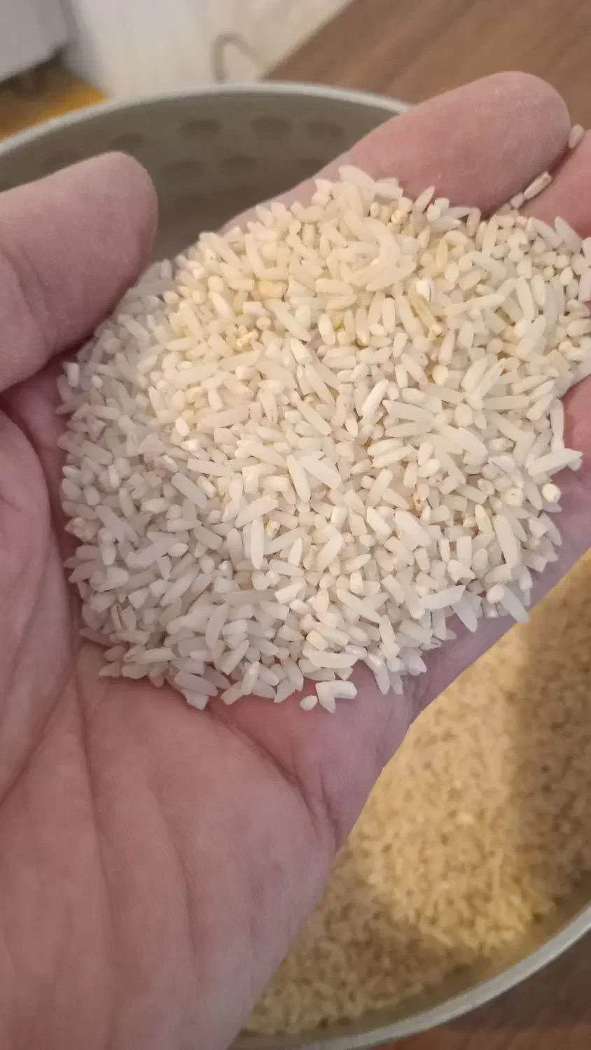 لاشه برنج هاشمی اصل|خوردنی و آشامیدنی|الوند, |دیوار