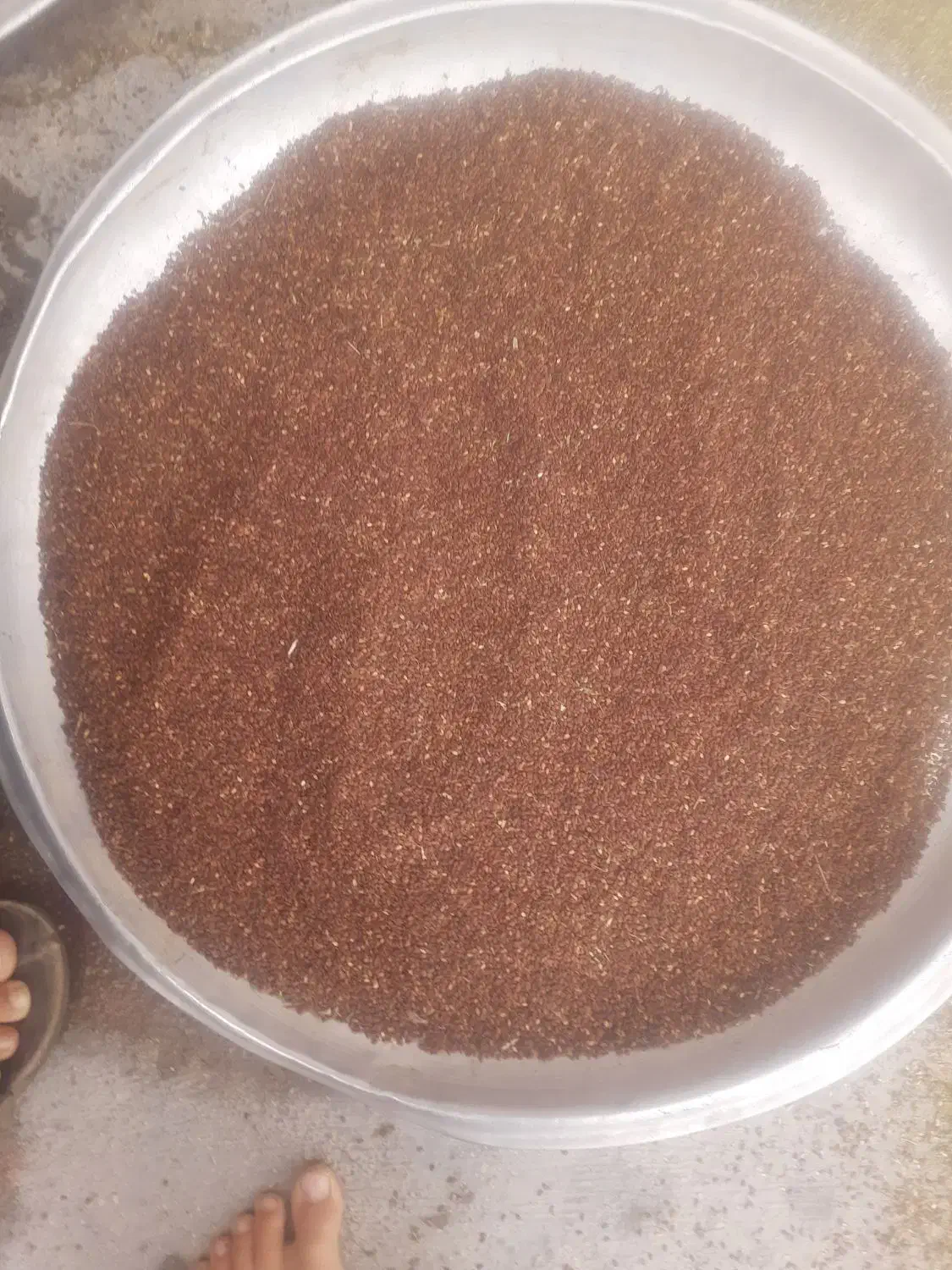 کنجدتمیزپاکشده|خوردنی و آشامیدنی|باغ ملک, |دیوار