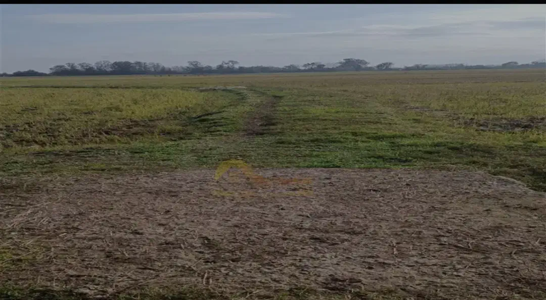 زمین کشاورزی|فروش زمین و ملک کلنگی|زالیان, |دیوار