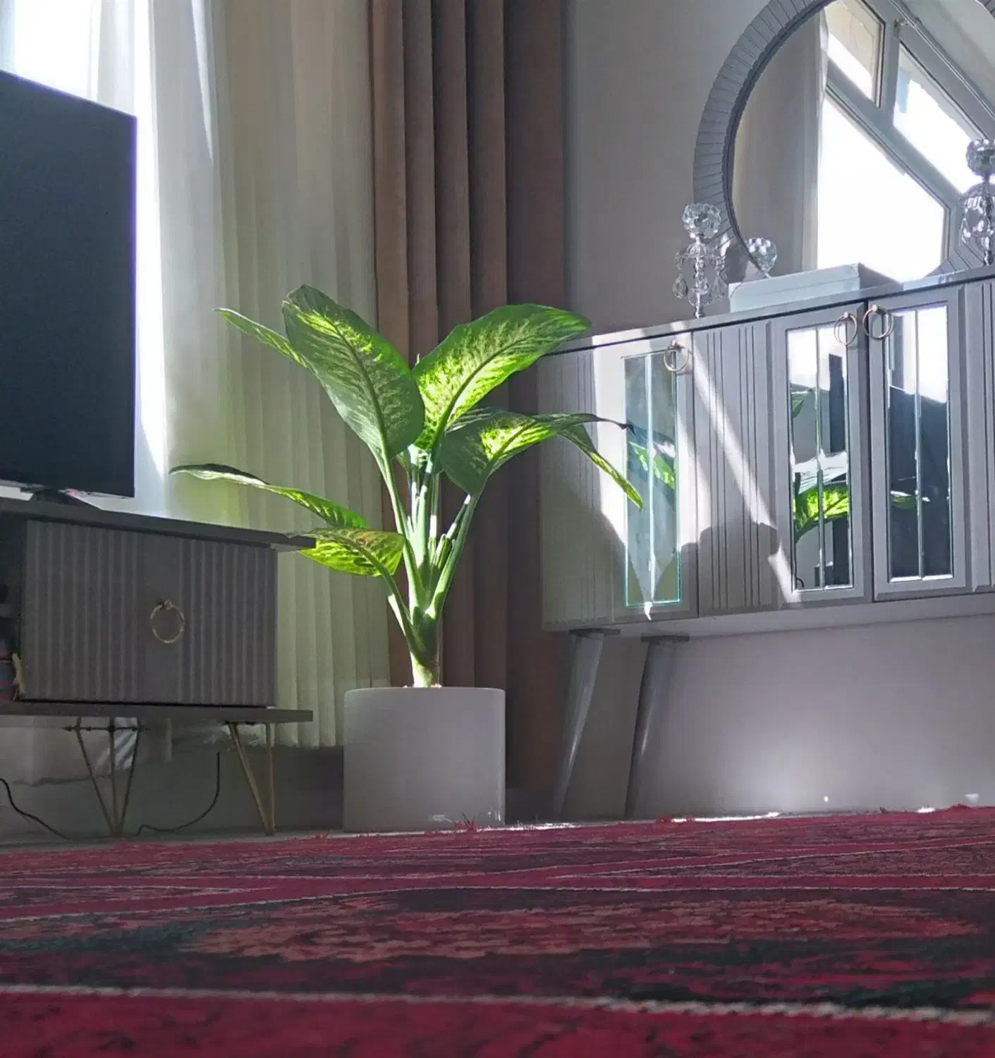 معاوضه|گل مصنوعی|مشهد, گلشور|دیوار